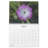 Calendrier laissez 2013 briller (Mar 2027)