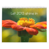 Calendrier laissez 2013 briller (Protection)