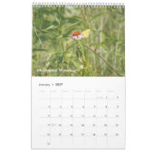 Calendrier Lake County Forest Preserve 2021 Page unique (Jan 2027)