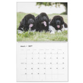 Calendrier Langue de chien lointaine (Mar 2027)