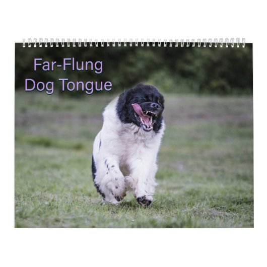Calendrier Langue de chien lointaine (Protection)