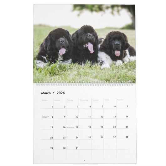 Calendrier Langue du chien des poumons lointains (Mar 2026)
