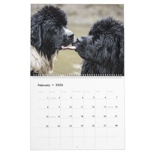 Calendrier Langue du chien des poumons lointains (Feb 2026)