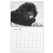 Calendrier Langue du chien des poumons lointains (Jan 2026)