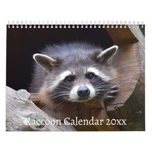 Calendrier L'animal de la forêt de Raccoon (Protection)