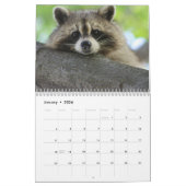 Calendrier L'animal de la forêt de Raccoon (Jan 2026)