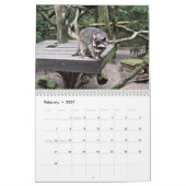 Calendrier L'animal de la forêt de Raccoon (Feb 2027)