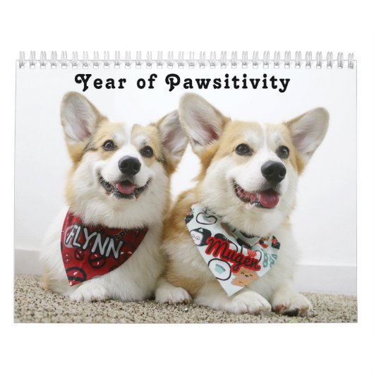 Calendrier L'année de la pawsitivité de Flynn & Mugen (Protection)