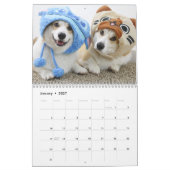 Calendrier L'année de la pawsitivité de Flynn & Mugen (Jan 2027)