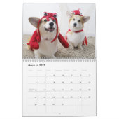 Calendrier L'année de la pawsitivité de Flynn & Mugen (Mar 2027)