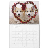 Calendrier L'année de la pawsitivité de Flynn & Mugen (Feb 2027)