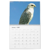 Calendrier Lanner Falcon perché (Jan 2027)