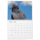 Calendrier Lanner Falcon perché (Feb 2027)