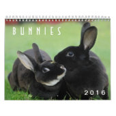 Calendrier Lapins 2016 - 12 mois de lapins mignons (Protection)