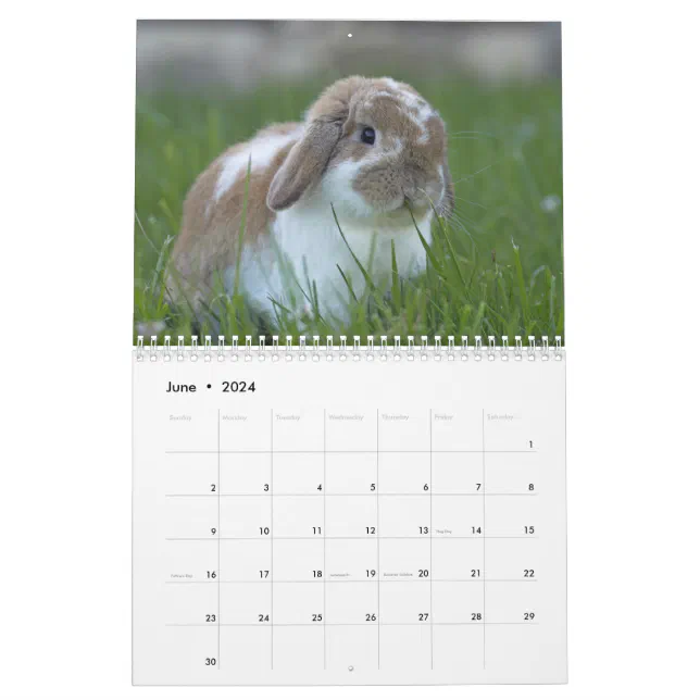 Calendrier 2024 avec des lapins mignons à imprimer