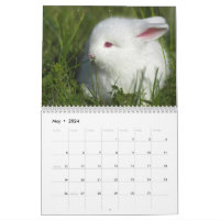 Calendrier Lapins 2016 - 12 mois de lapins mignons