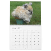 Calendrier Lapins 2016 - 12 mois de lapins mignons (Jan 2027)