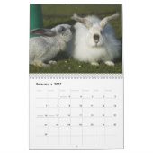 Calendrier Lapins 2016 - 12 mois de lapins mignons (Feb 2027)