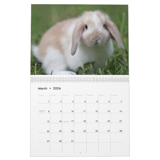 Calendrier Lapins 2018 - 12 mois de lapins mignons (Mar 2026)