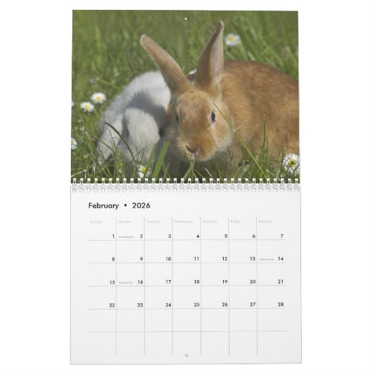 Calendrier Lapins 2018 - 12 mois de lapins mignons (Feb 2026)