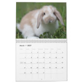 Calendrier Lapins 2018 - 12 mois de lapins mignons (Mar 2027)