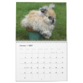 Calendrier Lapins 2018 - 12 mois de lapins mignons (Jan 2027)