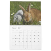 Calendrier Lapins 2018 - 12 mois de lapins mignons (Feb 2027)