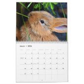 Calendrier Lapins de lapin doux 2026 (Mar 2026)