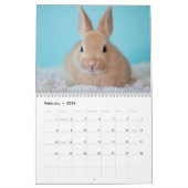 Calendrier Lapins de lapin doux 2026 (Feb 2026)