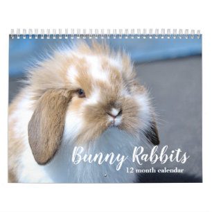 Calendrier Lapins de lapin doux 2026