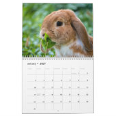 Calendrier Lapins de lapin doux 2026 (Jan 2027)