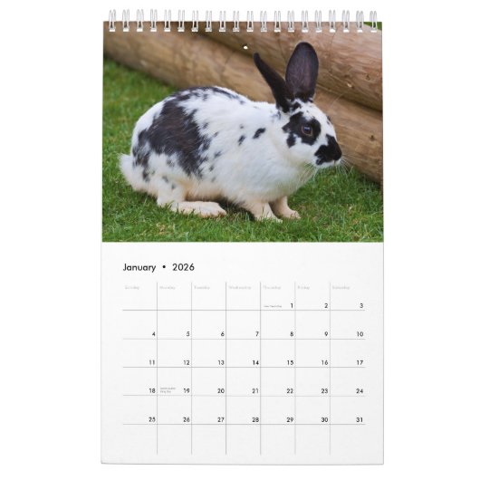 Calendrier lapins et lièvres (Jan 2026)