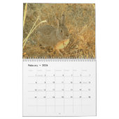 Calendrier Lapins sauvages 2009 (Feb 2026)