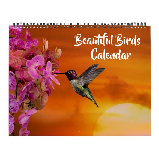 Calendrier Large Size Beautiful Birds Calendar (Protection)