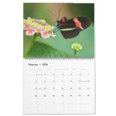 Calendrier Large Size Beautiful Butterflies Calendar (Feb 2026)