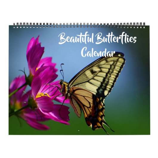 Calendrier Large Size Beautiful Butterflies Calendar (Protection)
