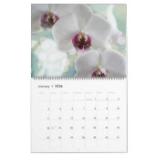 Calendrier Large Size Beautiful Flowers Calendar (Jan 2026)