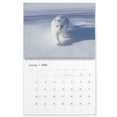 Calendrier Large Size Cat Lovers Calendar (Jan 2026)