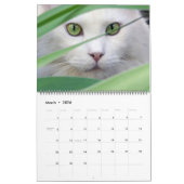 Calendrier Large Size Cat Lovers Calendar (Mar 2026)