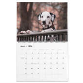 Calendrier Large Size Dog Lovers Calendar (Mar 2026)