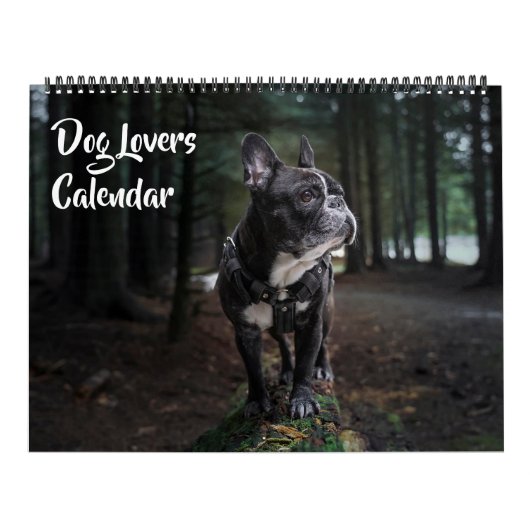 Calendrier Large Size Dog Lovers Calendar (Protection)