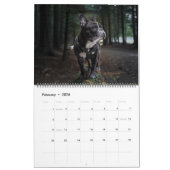 Calendrier Large Size Dog Lovers Calendar (Feb 2026)