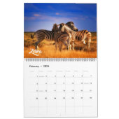 Calendrier Large Size Exotic Animals Calendar (Feb 2026)