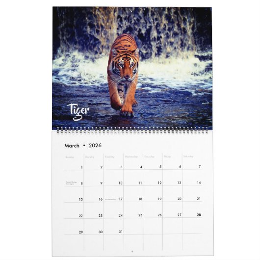 Calendrier Large Size Exotic Animals Calendar (Mar 2026)