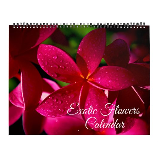 Calendrier Large Size Exotic Flowers Calendar (Protection)
