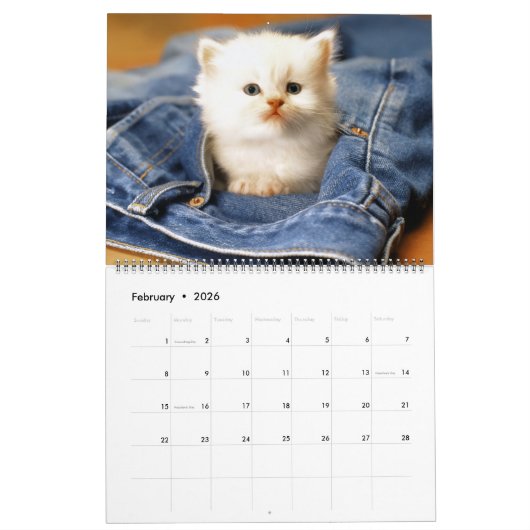 Calendrier Large Size Kittens Calendar (Feb 2026)