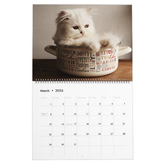 Calendrier Large Size Kittens Calendar (Mar 2026)