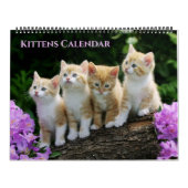 Calendrier Large Size Kittens Calendar (Protection)