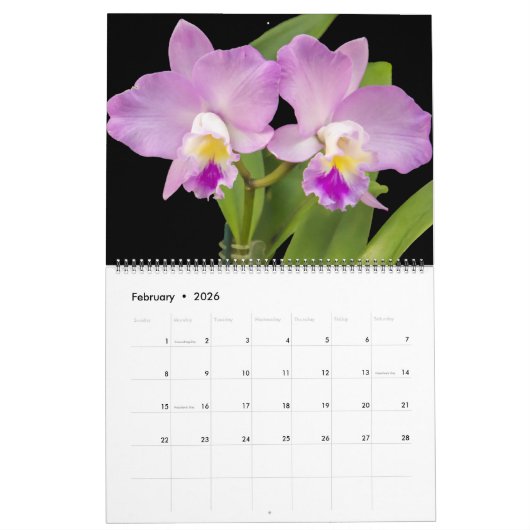 Calendrier Large Size Orchids Calendar (Feb 2026)