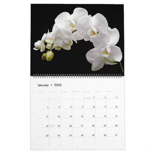 Calendrier Large Size Orchids Calendar (Jan 2026)